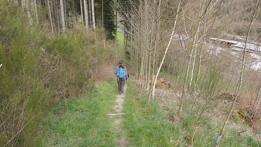 Niedersorpe