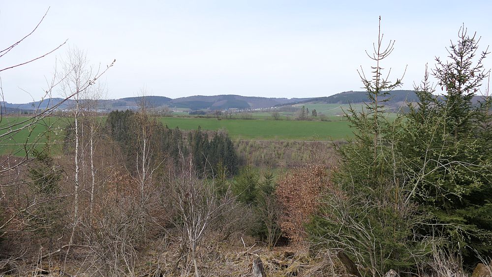 Niedersorpe