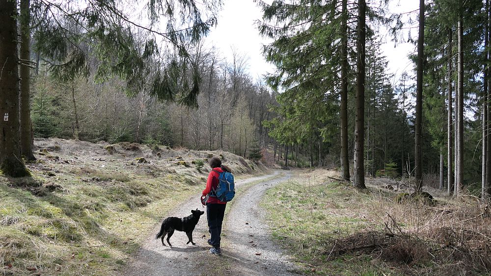 Oberkirchen
