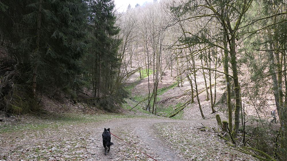 Oberkirchen