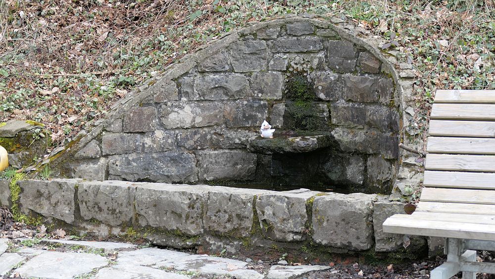 Wenholthausen