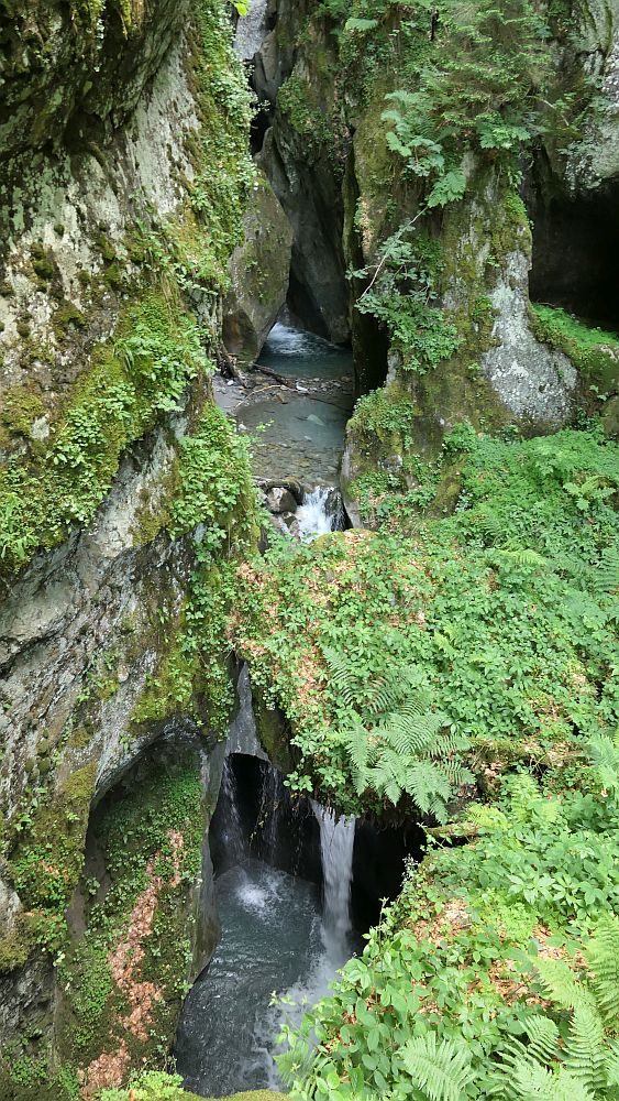 gorges mysterieuses de tete-noire