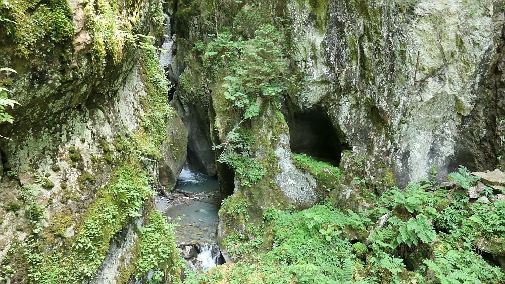gorges mysterieuses de tete-noire