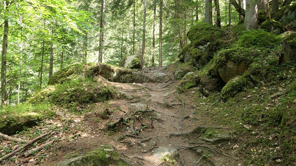 gorges mysterieuses de tete-noire