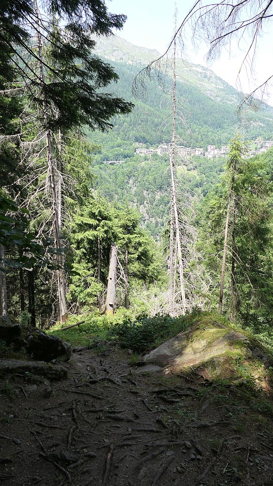 gorges mysterieuses de tete-noire