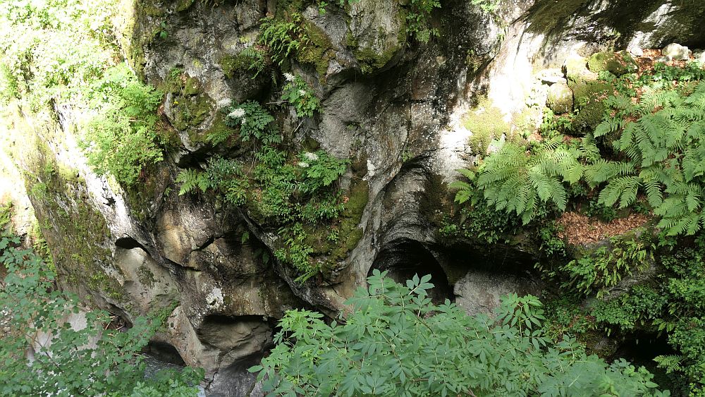 gorges mysterieuses de tete-noire