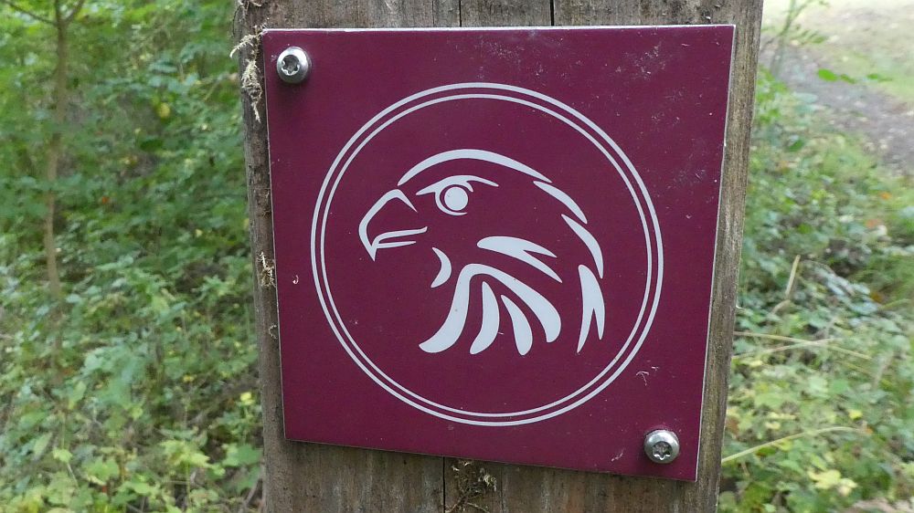 Habichtswaldsteig