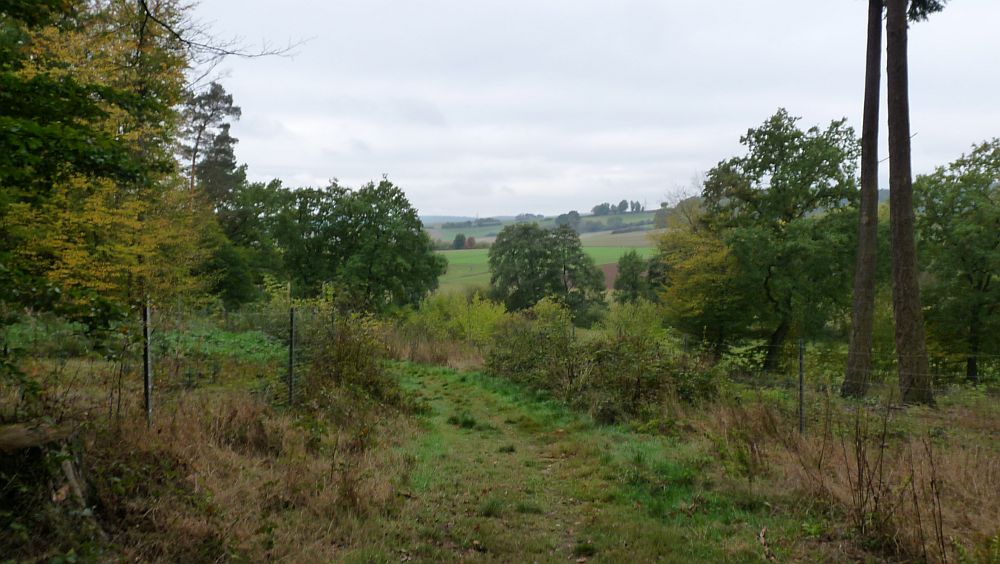 Habichtswaldsteig