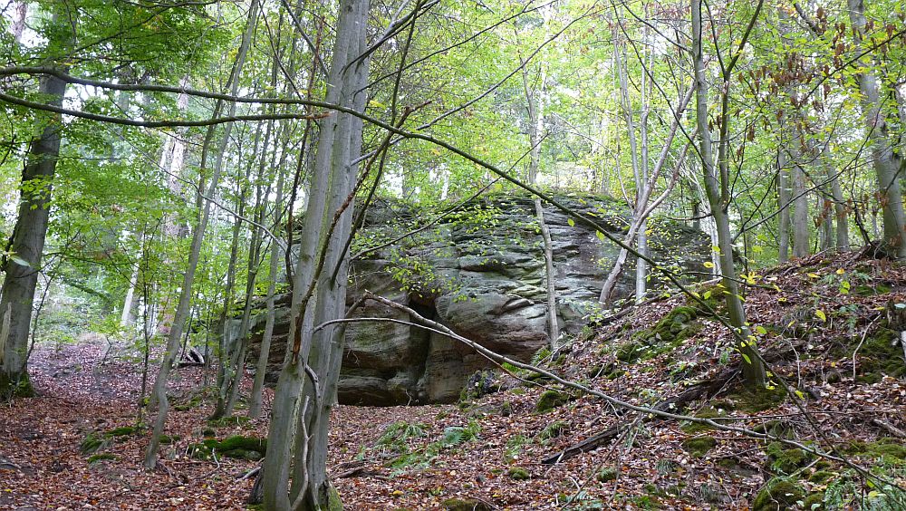Habichtswaldsteig