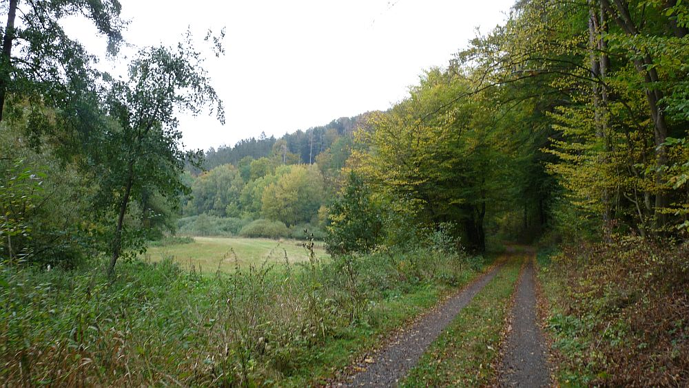Habichtswaldsteig