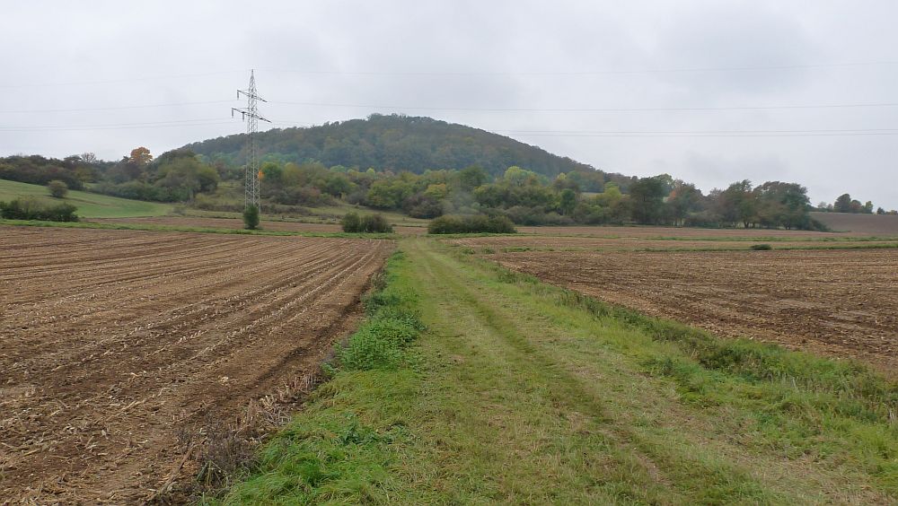 Habichtswaldsteig