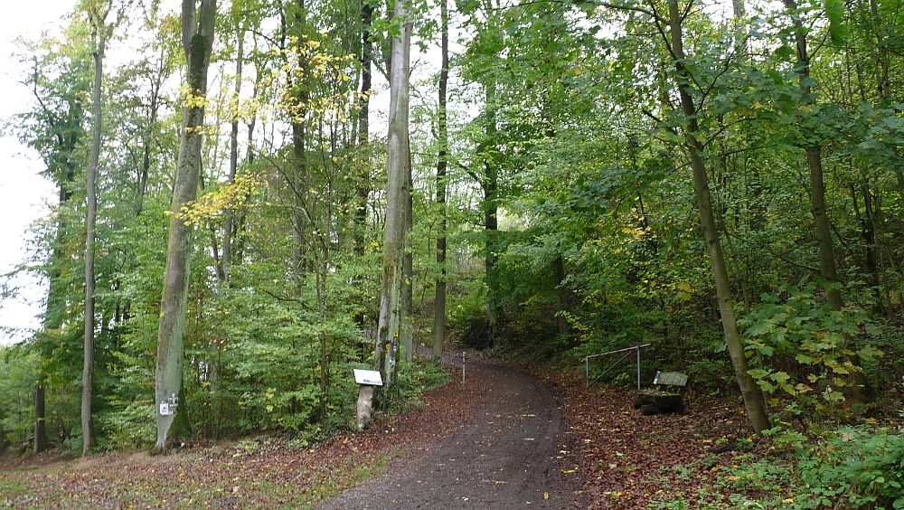 Habichtswaldsteig