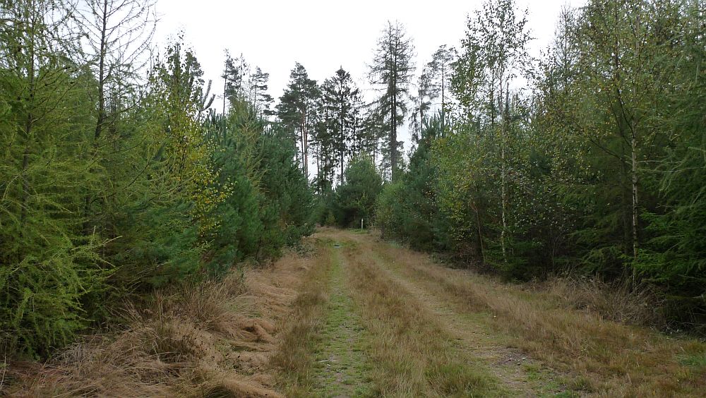 Habichtswaldsteig