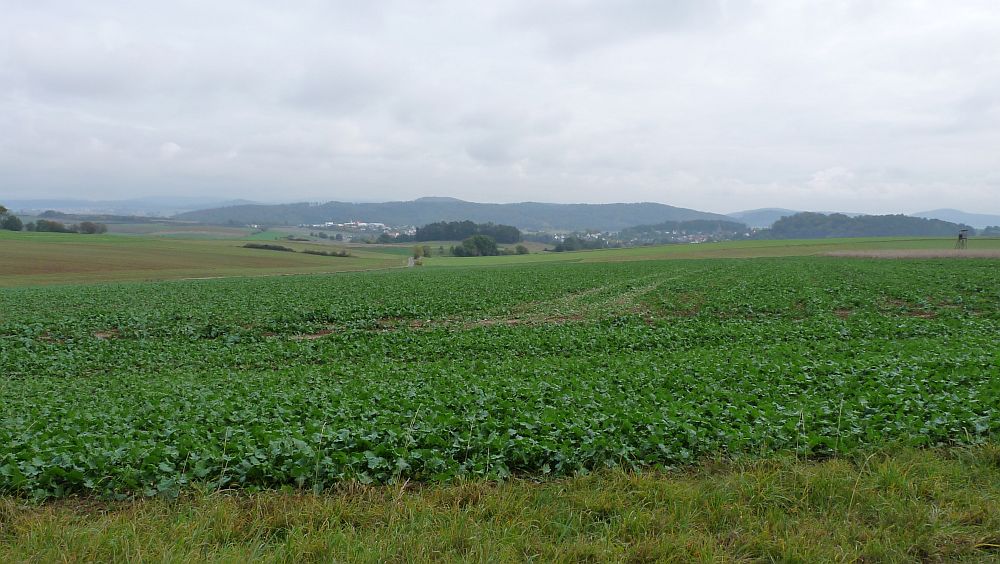 Habichtswaldsteig