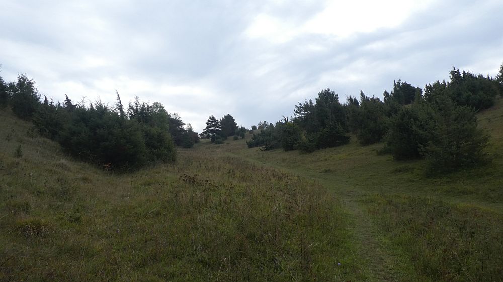 Habichtswaldsteig