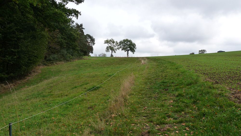 Habichtswaldsteig