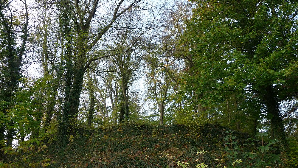 Habichtswaldsteig