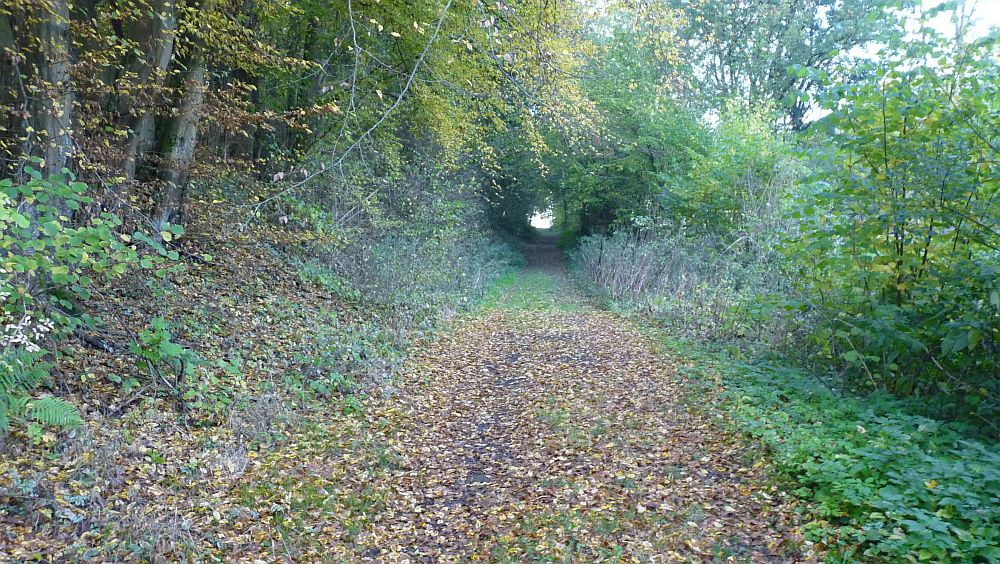Habichtswaldsteig