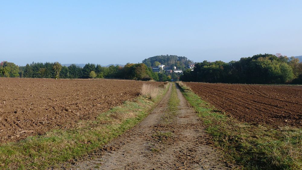 Habichtswaldsteig