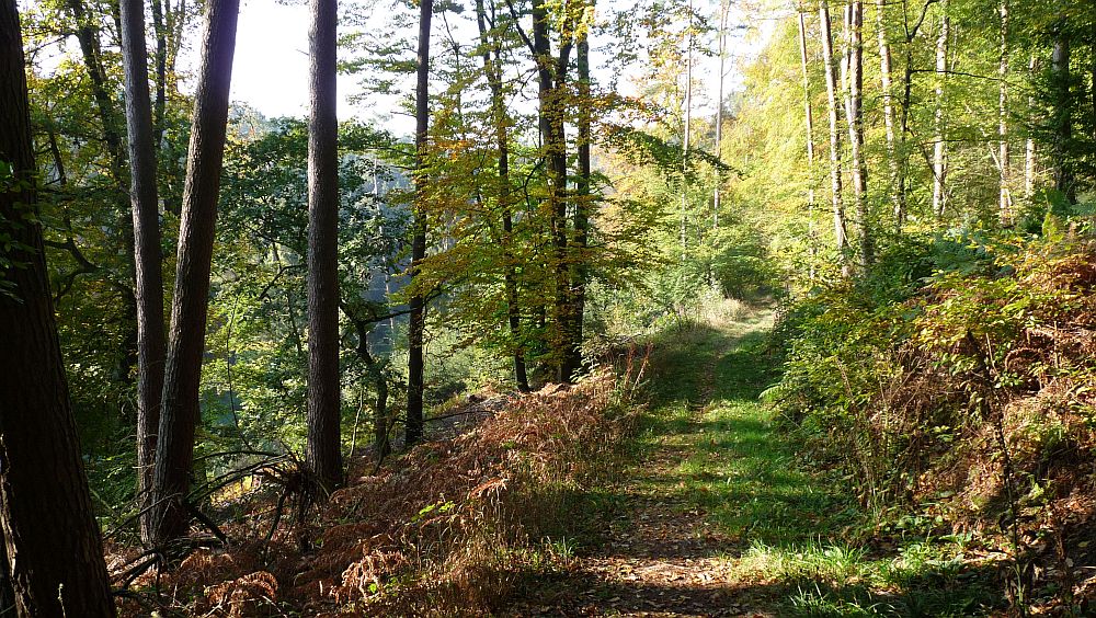 Habichtswaldsteig
