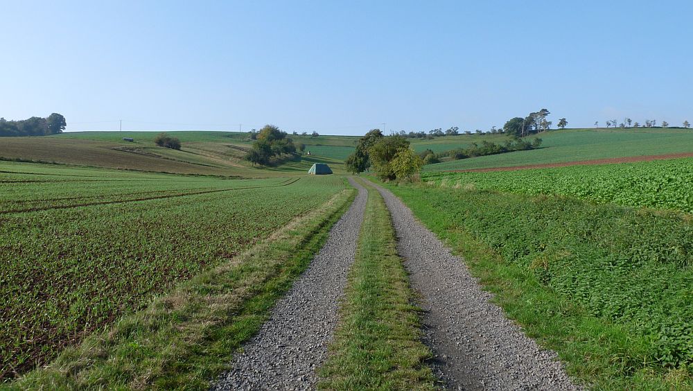 Habichtswaldsteig