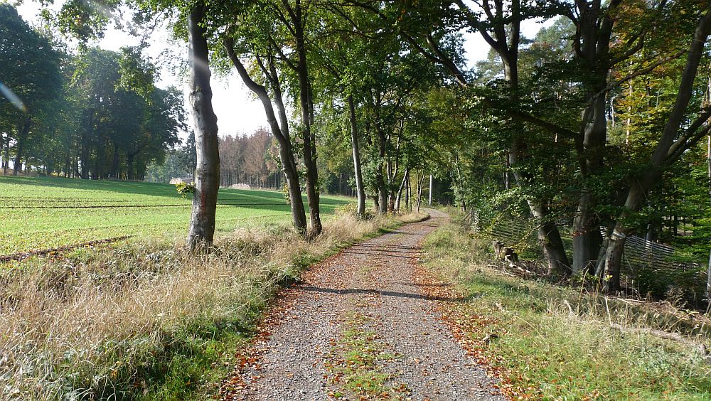 Habichtswaldsteig