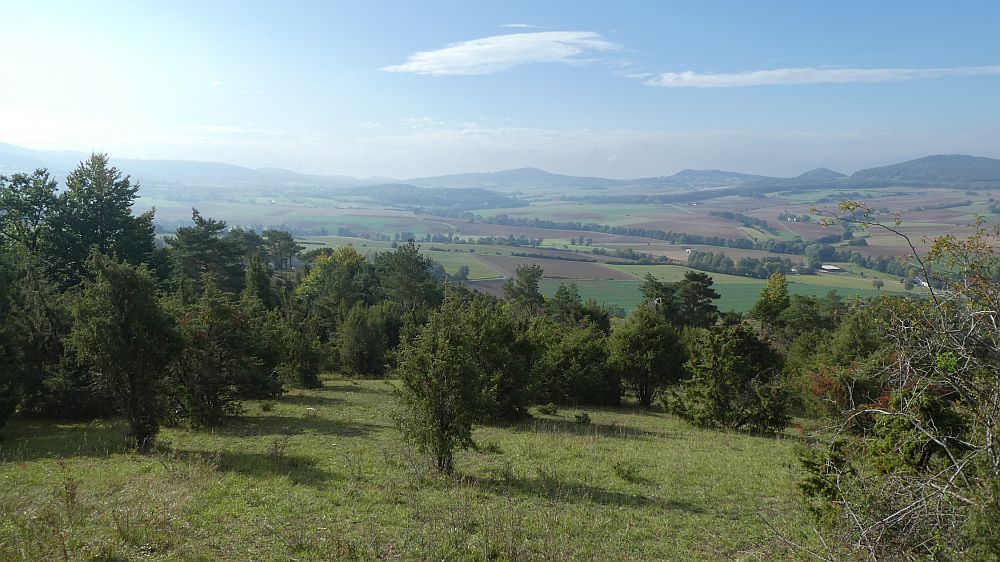 Habichtswaldsteig