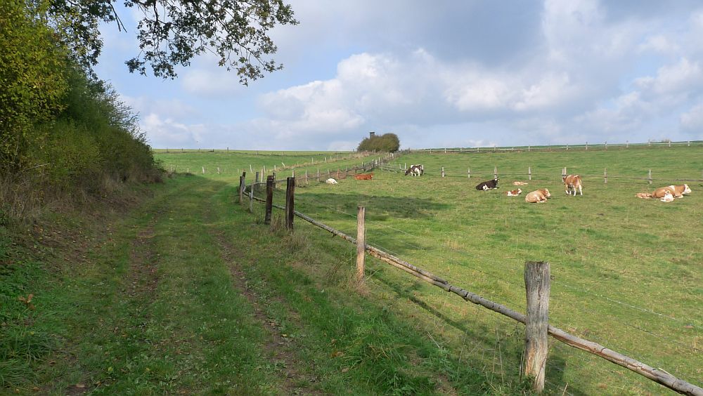 Habichtswaldsteig