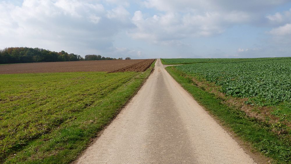 Habichtswaldsteig