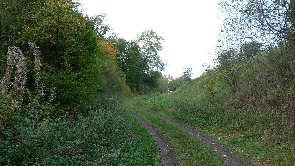Habichtswaldsteig