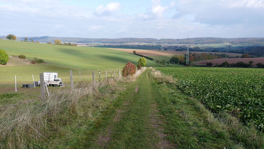 Habichtswaldsteig