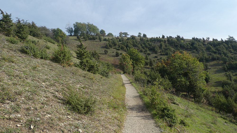 Habichtswaldsteig