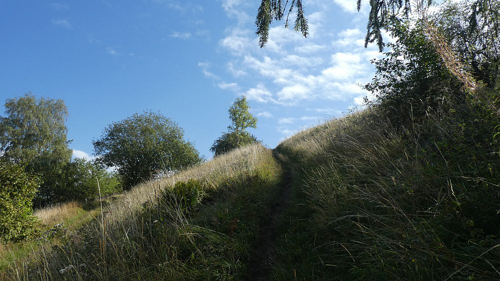 Habichtswaldsteig
