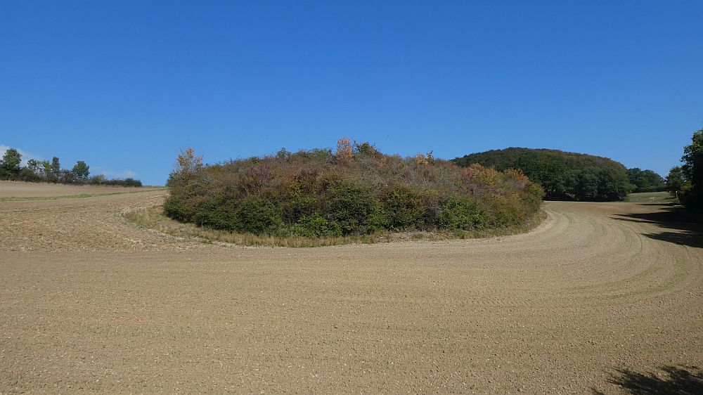 Habichtswaldsteig