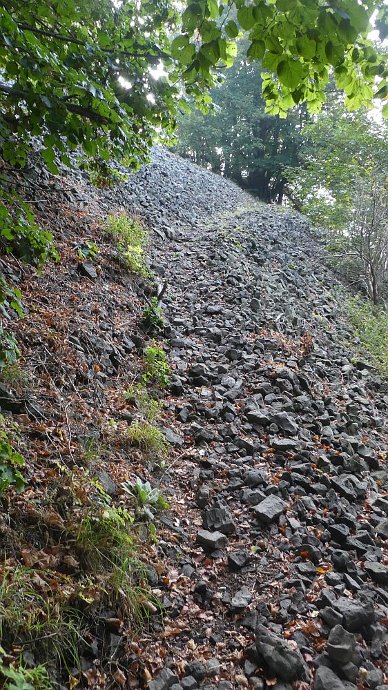 Habichtswaldsteig