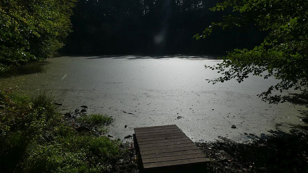Habichtswaldsteig