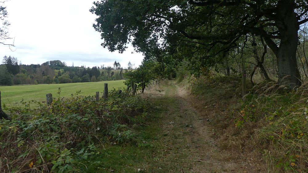 Habichtswaldsteig