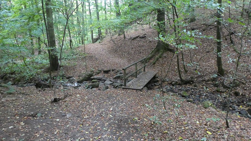 Habichtswaldsteig