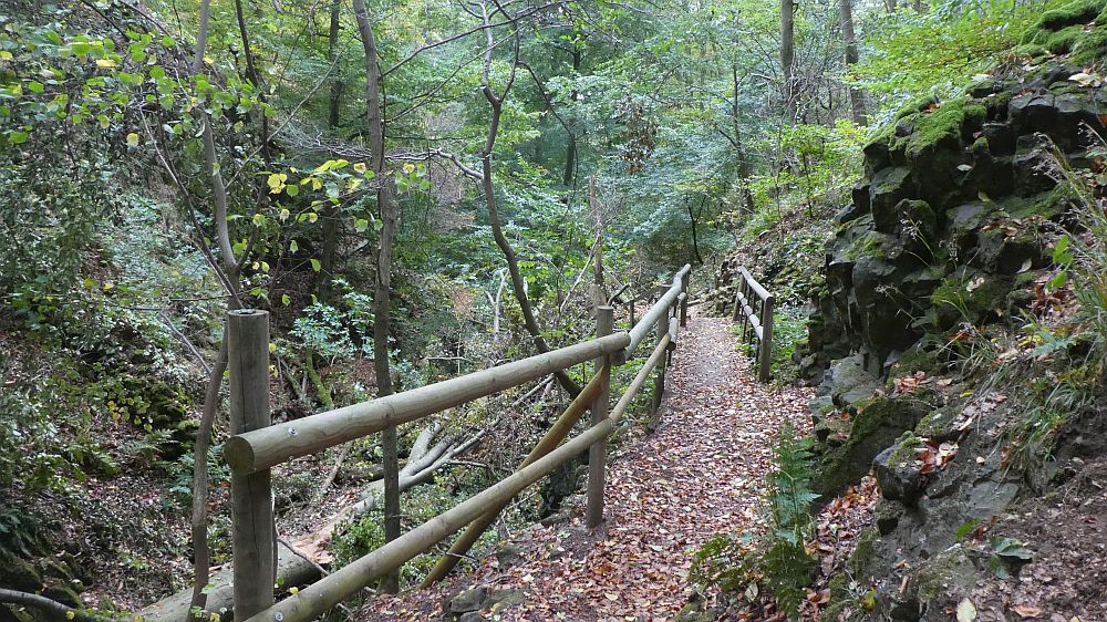 Habichtswaldsteig