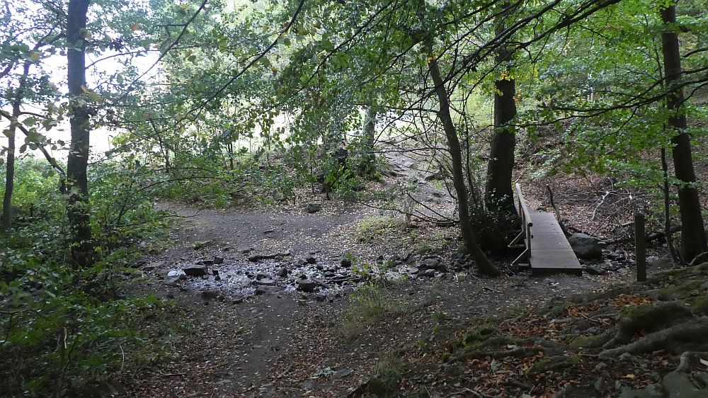 Habichtswaldsteig