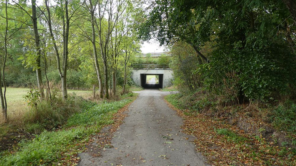 Habichtswaldsteig