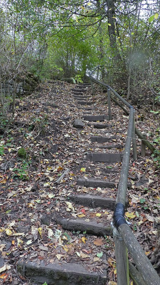 Habichtswaldsteig