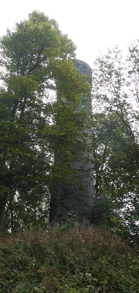 Habichtswaldsteig