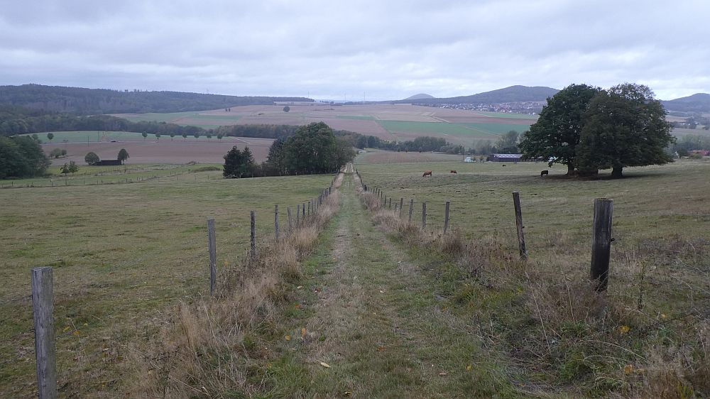 Habichtswaldsteig