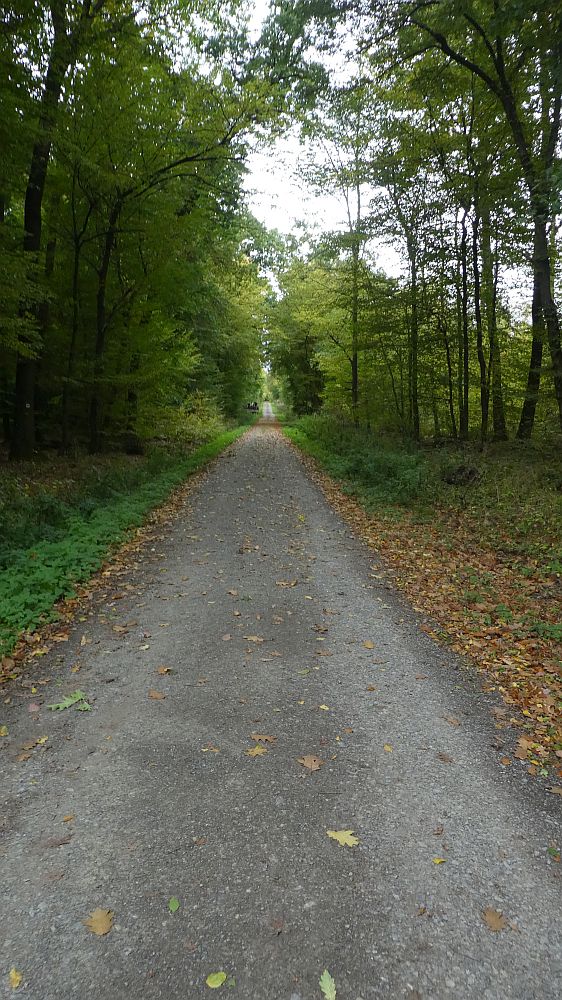 Habichtswaldsteig