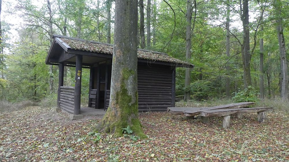 Habichtswaldsteig