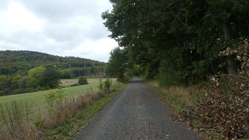Habichtswaldsteig