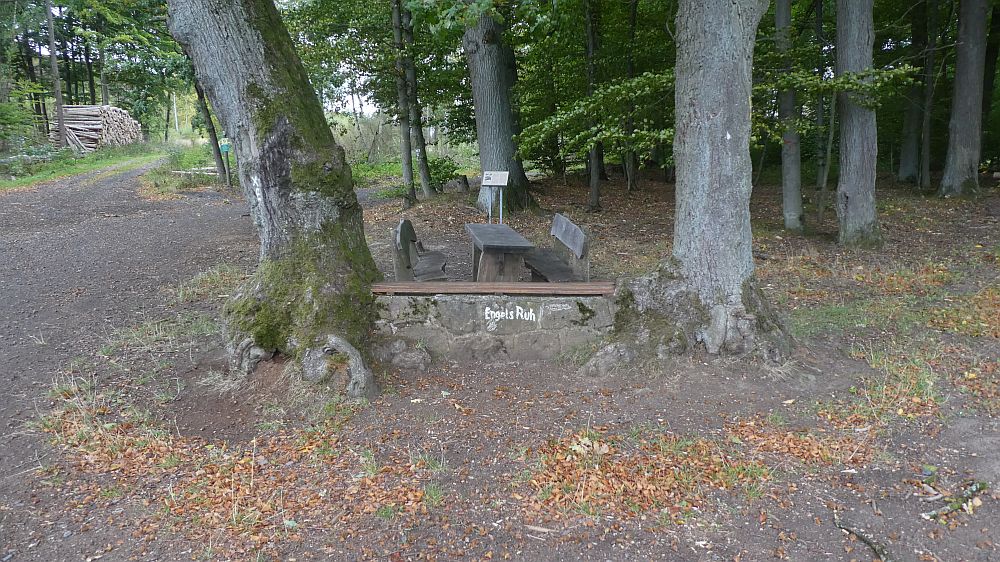 Habichtswaldsteig