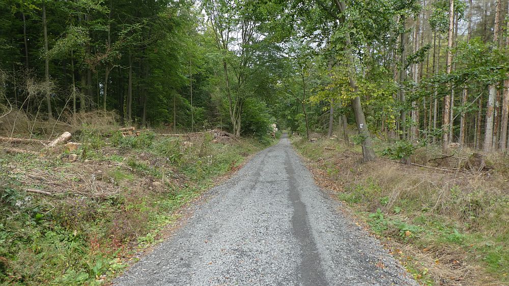 Habichtswaldsteig