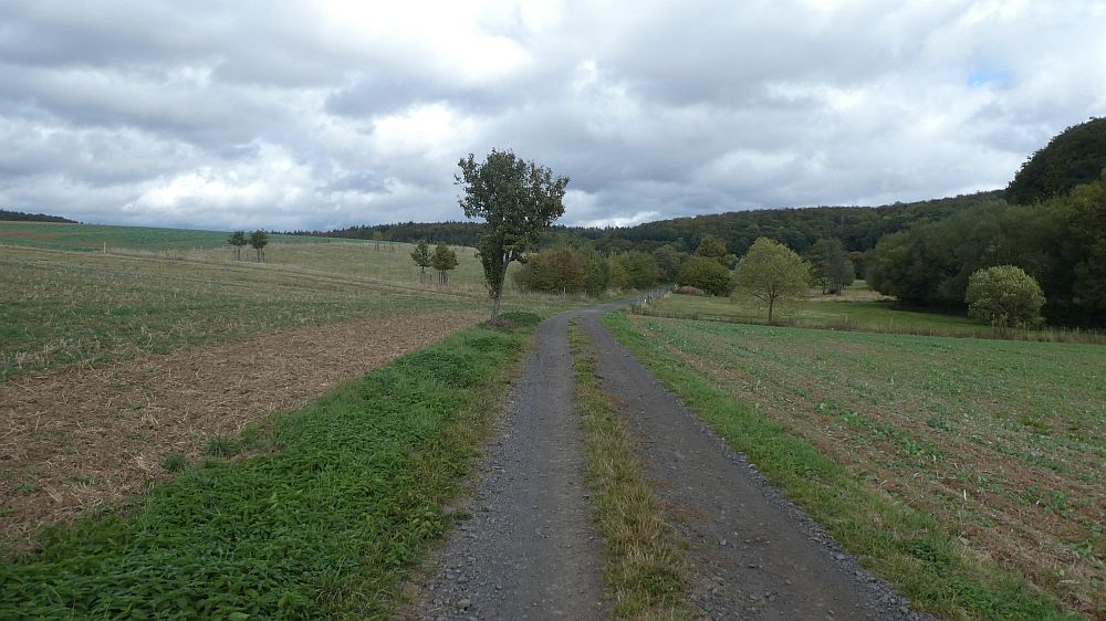 Habichtswaldsteig